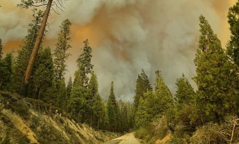 Photo of Пожары добрались до парка «Секвойя» в Калифорнии