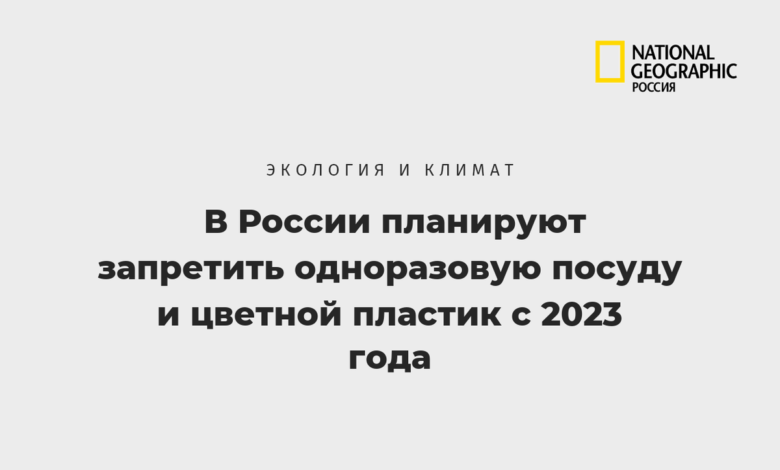Photo of В России планируют запретить одноразовую посуду и цветной пластик с 2023 года